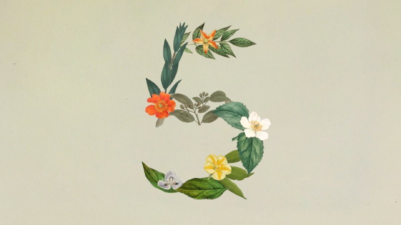 ↩️🖼 🤖 Claude Sonnet 5 发布科技圈🎗在花频道📮:🤖 Anthropic 发布 Claude Sonnet 4.6，性能与计算机使用能力显著提升 Anthropic 发布 Claude Sonnet 4.6 模型，在编程、计算机操作及长文本推理方面实现全面升级