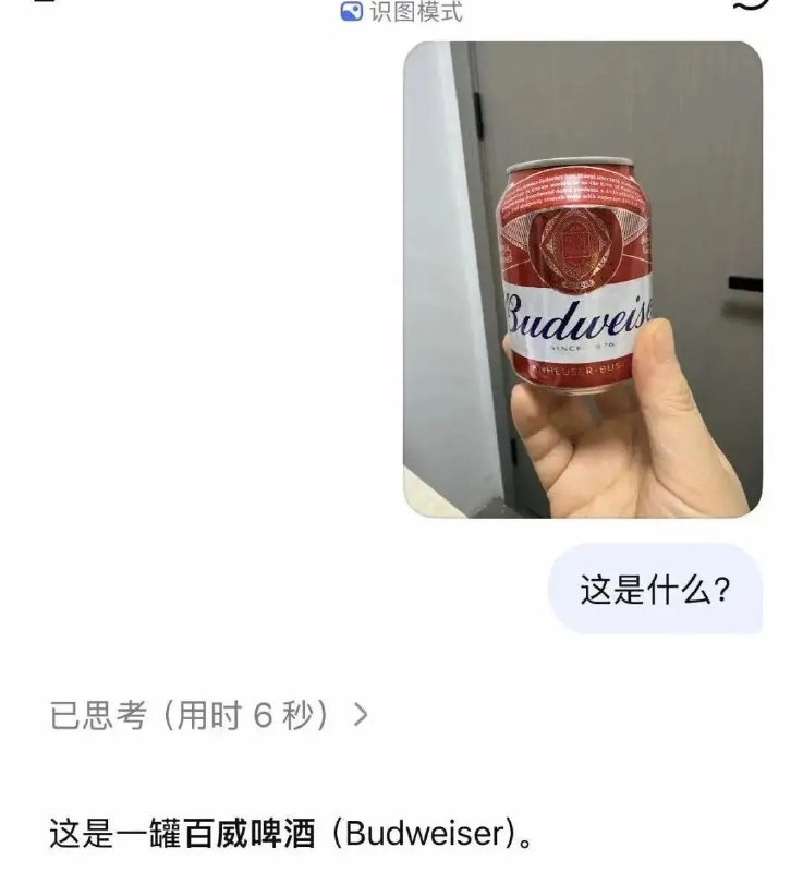 DeepSeek识图模式上线 但认不出来自家老板梁文锋6月18日，DeepSeek多模态研究员陈小康发文表示，DeepSeek的识图模式已在网页和App端正式上线