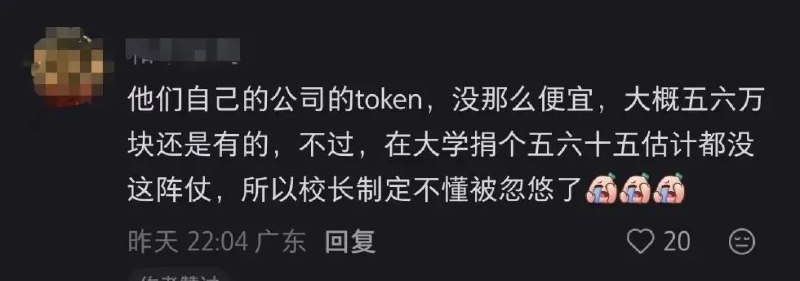 三位00后向泡泡玛特王宁母校捐赠20亿Token 网友质疑：可能就值几百元近日，泡泡玛特创始人王宁本科母校郑州西亚斯学院发文宣布，该校3名00后校友向母校捐赠20亿Token，用于支持学弟学妹“一人公司”创业